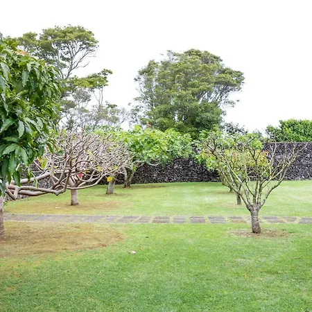 Quinta Da Paz Estudio 4 Pico da Pedra